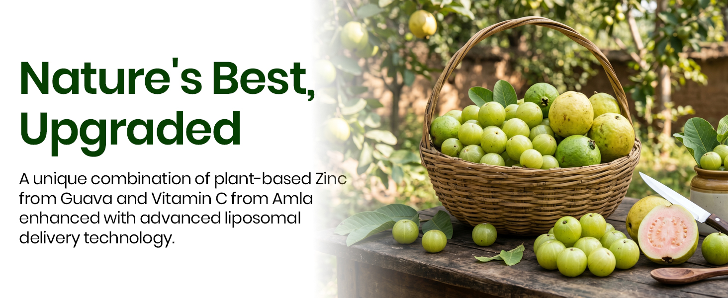 Vlado's Himalayan organic Plant Based Zinc With Vitamin C Supplement | Digestive Health | Improve Iron Absorption | Double Antioxidant & Immune Support -120 Veg Capsules