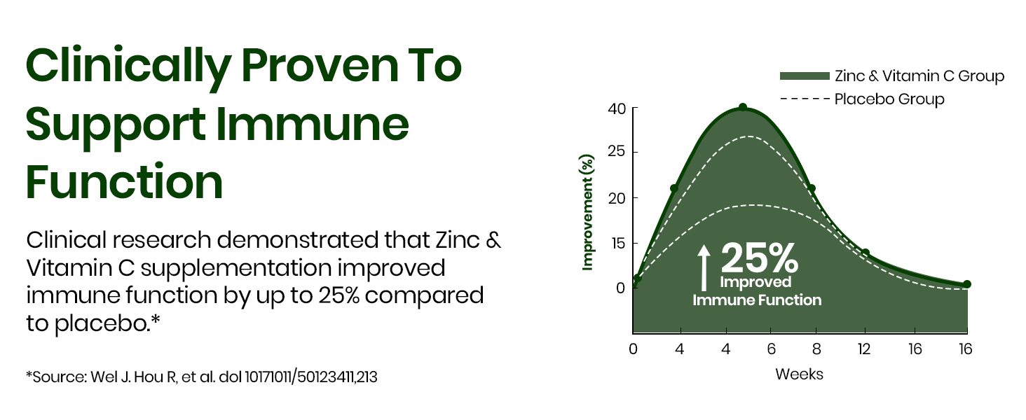 Vlado's Himalayan organic Plant Based Zinc With Vitamin C Supplement | Digestive Health | Improve Iron Absorption | Double Antioxidant & Immune Support -120 Veg Capsules