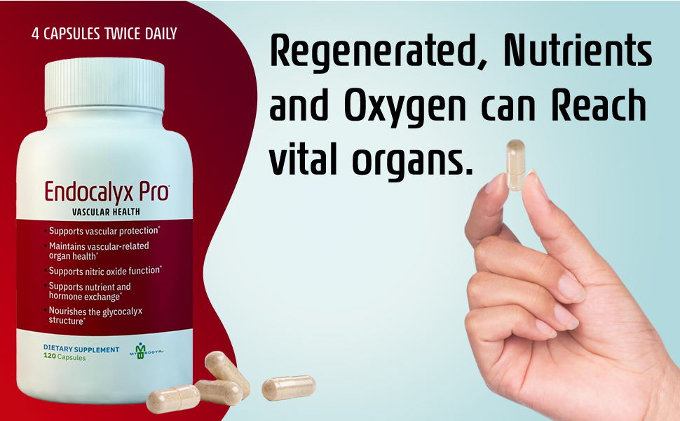 Endocalyx Pro Endothelial Glycocalyx Supplement, Vascular Health