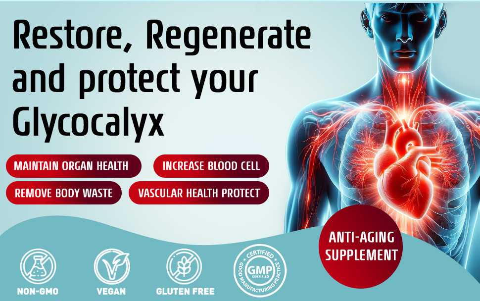 Endocalyx Pro Endothelial Glycocalyx Supplement, Vascular Health
