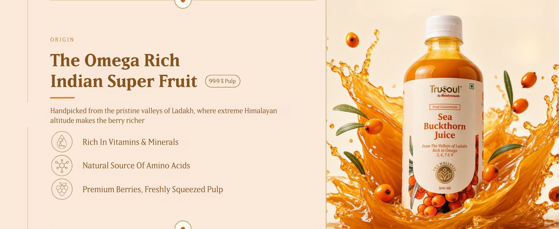 Baidyanath Trusoul Sea Buckthorn Juice 500ml | Himalayan Ladakh Berry Fruit Pulp Concentrate | Omega 3 6 7 9 | Supports Immunity, Skin Glow & Gut Health | No Added Sugar | GMP Certified