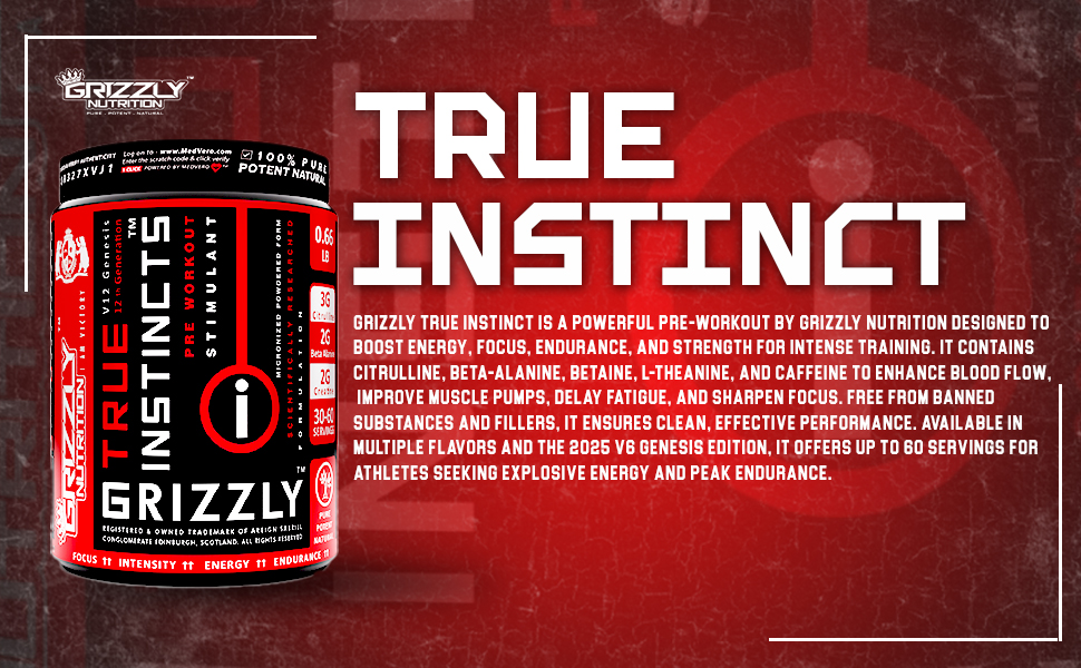 Grizzly Nutrition True Instincts 300 Grams Advanced Pre Workout Powder Supplement for Men & Women | Energy, Focus & Muscle Pump Formula with L-Citrulline, Beta Alanine, Creatine, Theanine & Caffeine +11 Researched Performance Boosters, Spanish Strawberry