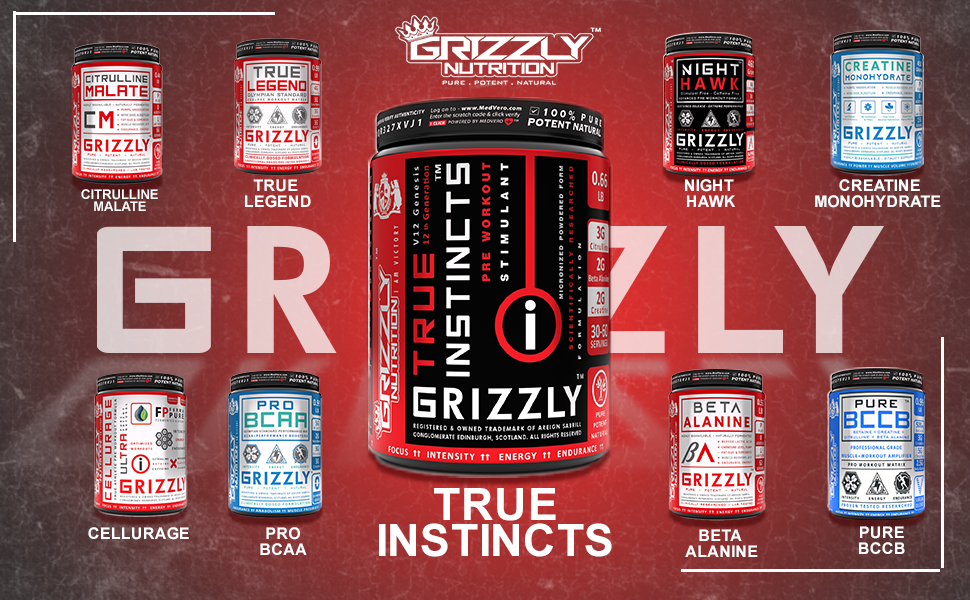 Grizzly Nutrition True Instincts 300 Grams Advanced Pre Workout Powder Supplement for Men & Women | Energy, Focus & Muscle Pump Formula with L-Citrulline, Beta Alanine, Creatine, Theanine & Caffeine +11 Researched Performance Boosters, Spanish Strawberry