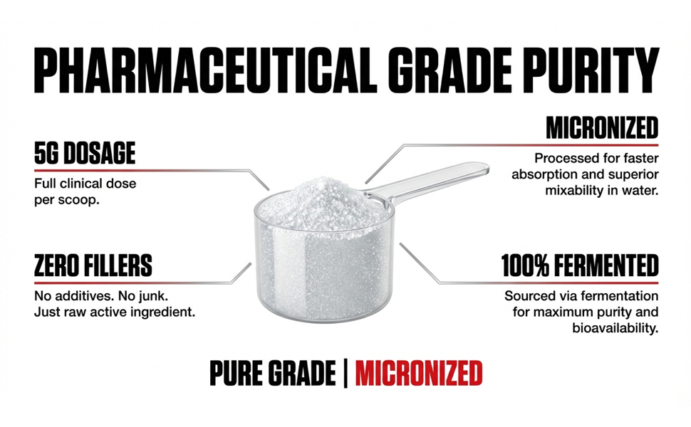 L-Glutamine | Pure Grade | Micronized | Fermented | For Muscle Mass, Energy and Strength | Unflavored | 300 Gr | FSSAI approved