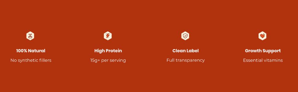 MyBodyBox Healthy Protein Bar | India's First Protein Bars with Creatine + L-Glutamine | 15g Whey Protein, Zero Added Sugar, Low Carb Energy Snack | Choco Almond Flavor