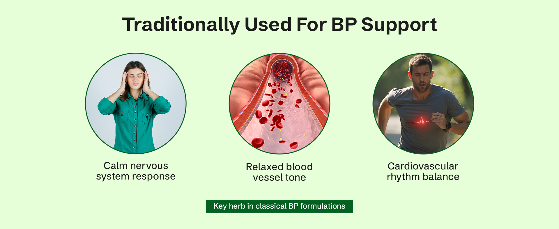 Nveda BP Support Capsules | Ayurvedic Formula for Healthy Blood Pressure Management | Heart & Circulation Support Supplement | 60 Capsules