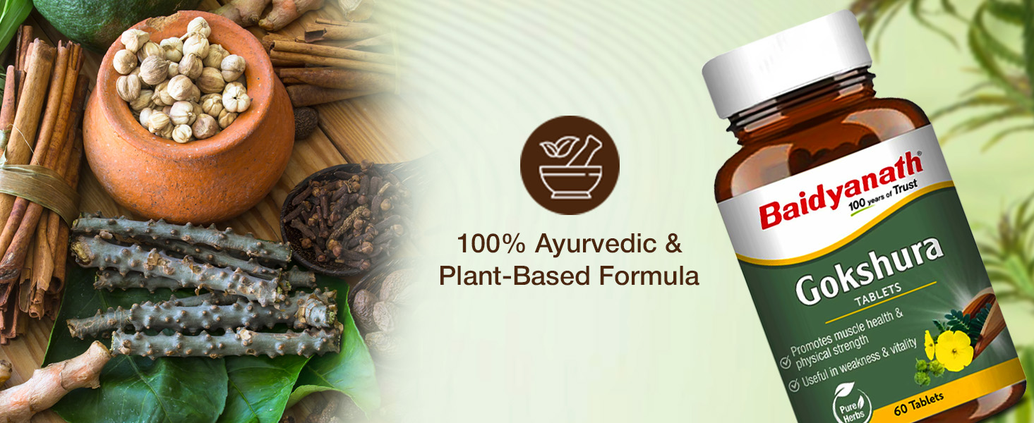 Baidyanath Ayurved Gokshura - 60 Tablets | Supports Strength & Vitality (Pack of 2)