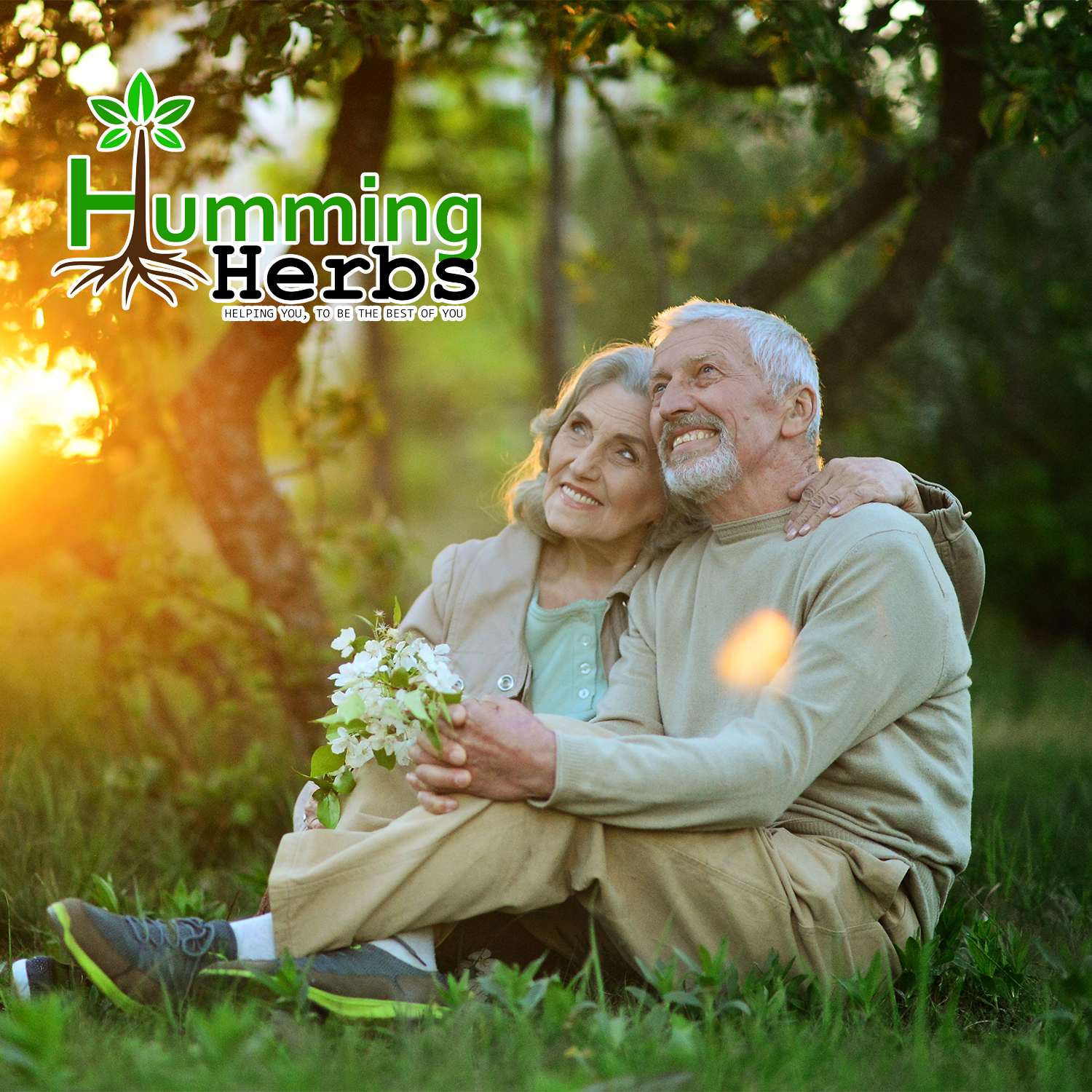 Humming Herbs Benfotiamine+ 600mg with Ashwagandha & Alpha Lipoic Acid - Antioxidant & Energy Support - Promotes Nerve Health & Metabolic Function - Nutraceutical Supplement (60 Caps)