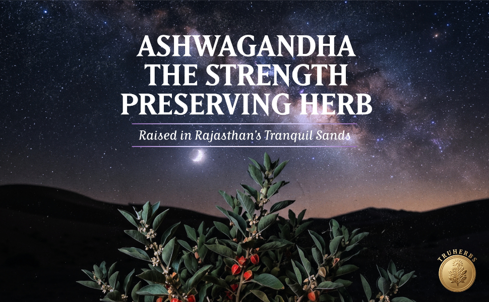 Baidyanath TruSoul Ashwagandha 60 Veg Capsules | Supports Stress Relief Mood Stability | Rich in Antioxidants | Rejuvenates Mind & Body | Helps to Improve Strength & Energy