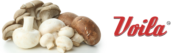 Voila Premium Dried Oyster Mushrooms 100g | High Protein | Gluten-Free | Natural Dehydrated Mushrooms | High Protein & High Fiber | Gluten Free | No Artificial Colors or Preservatives | Ideal for Soups, Stir Fry, Pasta & Asian Recipes. (5G Protein per 20 gm)