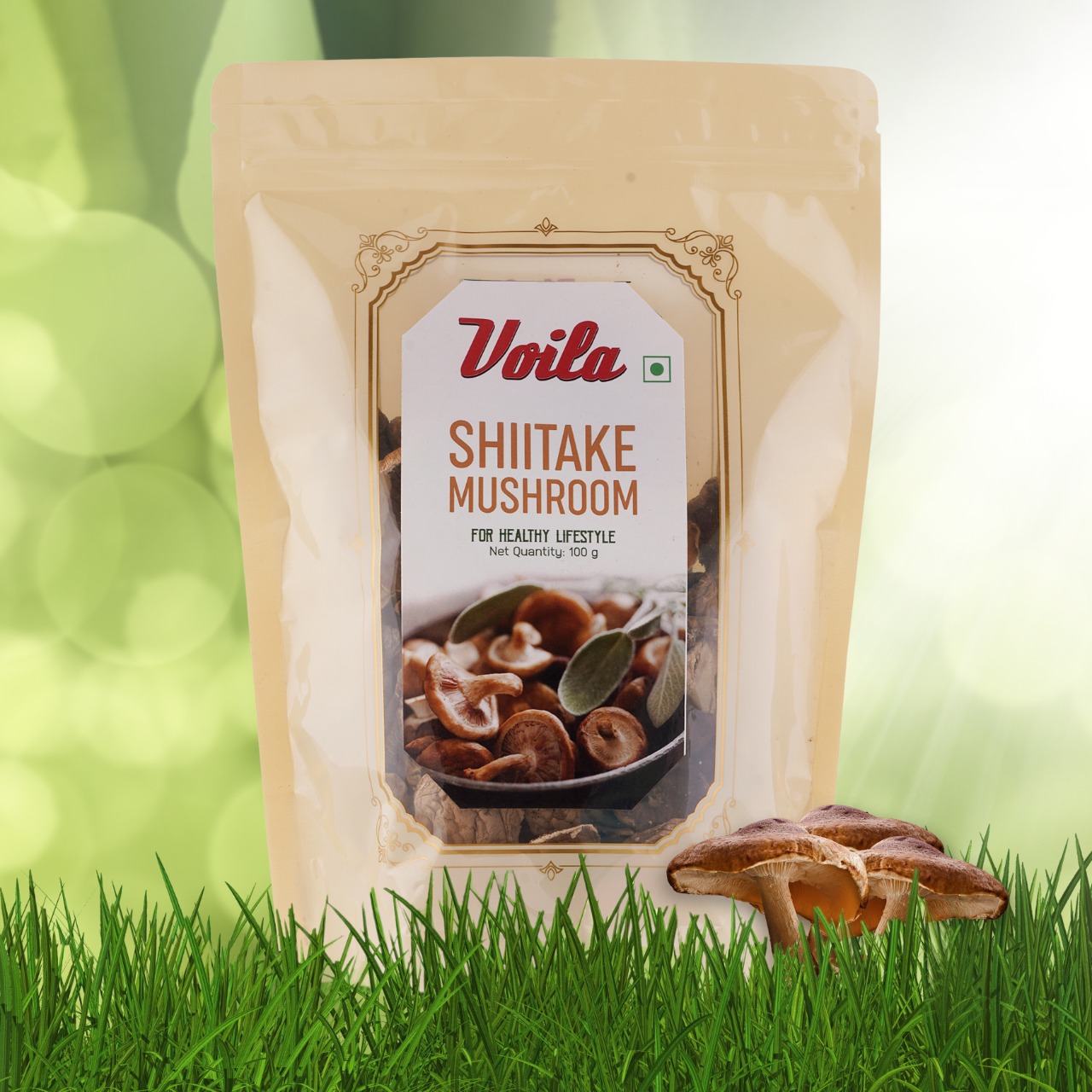Voila Premium Dried Oyster Mushrooms 100g | High Protein | Gluten-Free | Natural Dehydrated Mushrooms | High Protein & High Fiber | Gluten Free | No Artificial Colors or Preservatives | Ideal for Soups, Stir Fry, Pasta & Asian Recipes. (5G Protein per 20 gm)