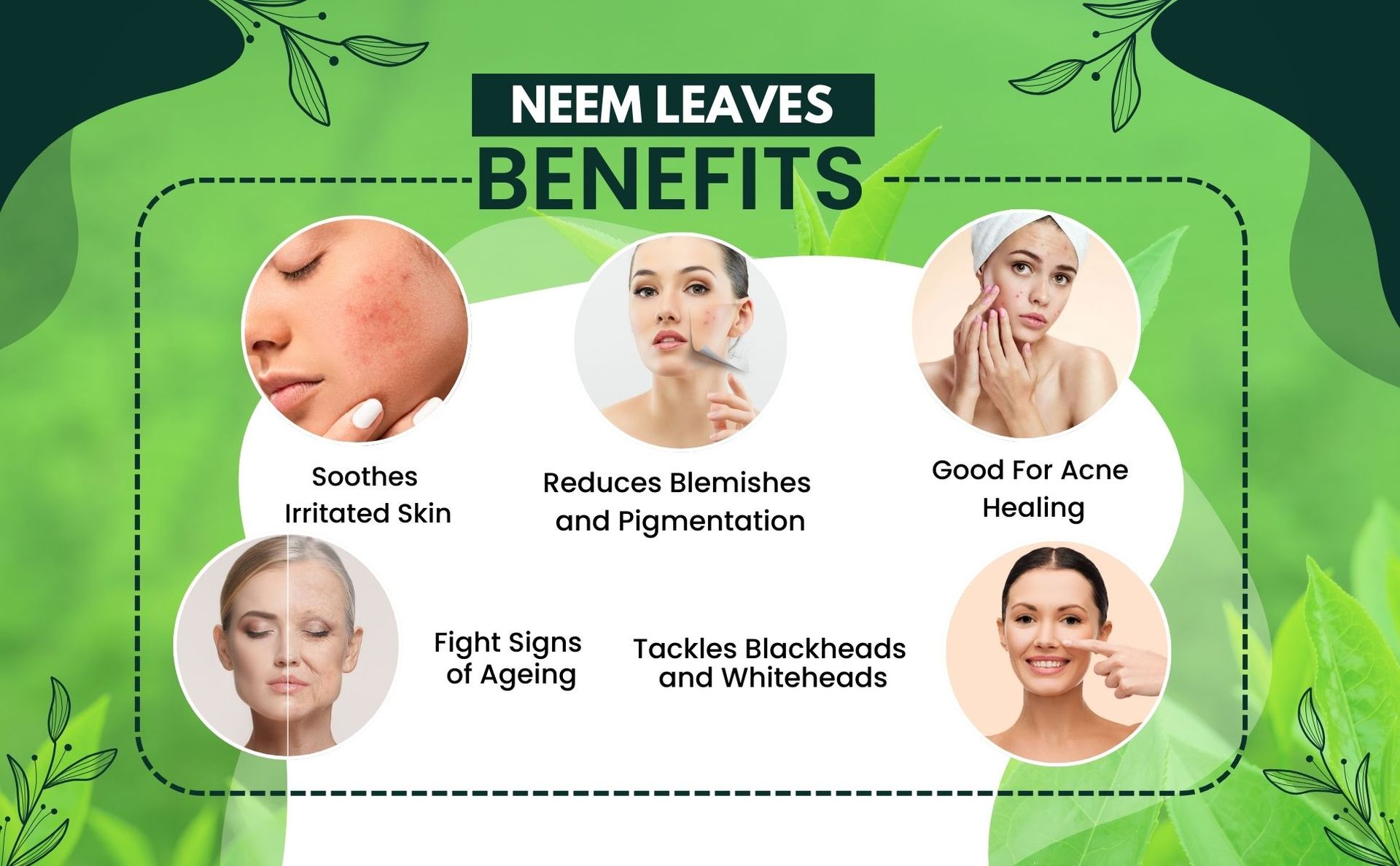 Brijbooti Neem Leaves 200 Gram - Leaf - Neem Leaves Dried for Skin & Eating - Sukhi Neem Patti