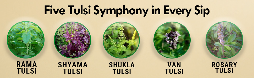 Kudos Ayurveda Tulsi Amrit | Best Tulsi Drops for Immunity Booster - 51ml | Healthy Lifestyle, Pure Ayuvedic & Safe