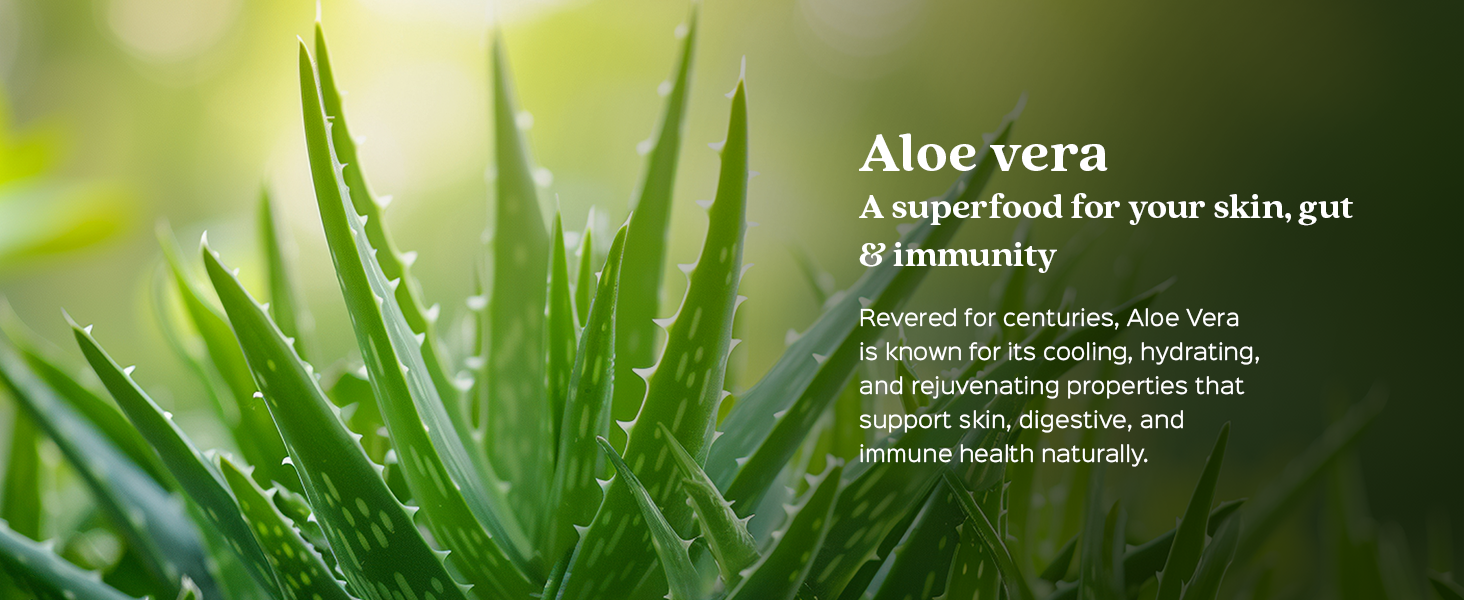 Aloe Vera Powder | Moisturizes Skin | Conditions Hair | Lab Tested | 200g