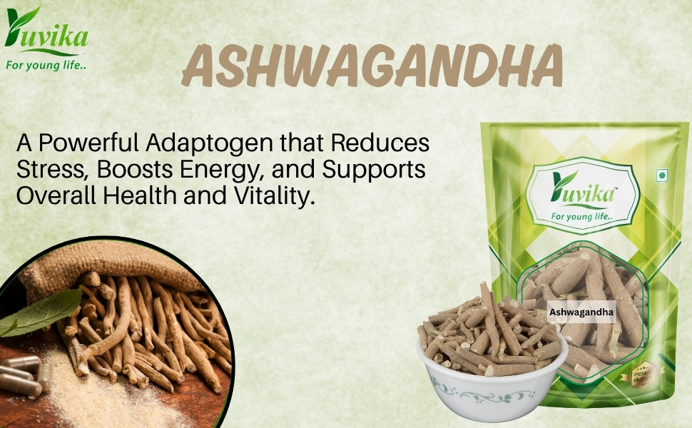 Yuvika Ashwagandha Raw (Asgandh) – Withania Somnifera, 800g | Traditional Ayurvedic Herb