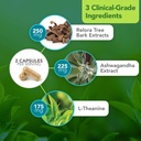 vital-plan-hpa-balance-adrenal-supplemen-4.jpg