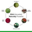 dr-schulze-s-superfood-plus-everyday-sup-5.jpg