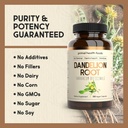 organic-dandelion-root-1000-mg-digestive-3.jpg