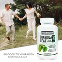 graviola-leaf-annona-muritcata-soursop-i-5.jpg