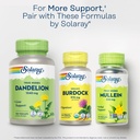 solaray-organic-burdock-root-970-mg-dige-6.jpg