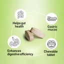 nanowell-g-fos-digestive-health-suppleme-2.jpg