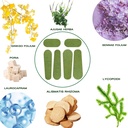 pumei-42pcs-herbal-legs-lift-patch-wormw-5.jpg