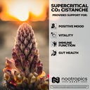 nootropics-depot-cistanche-supercritical-4.jpg