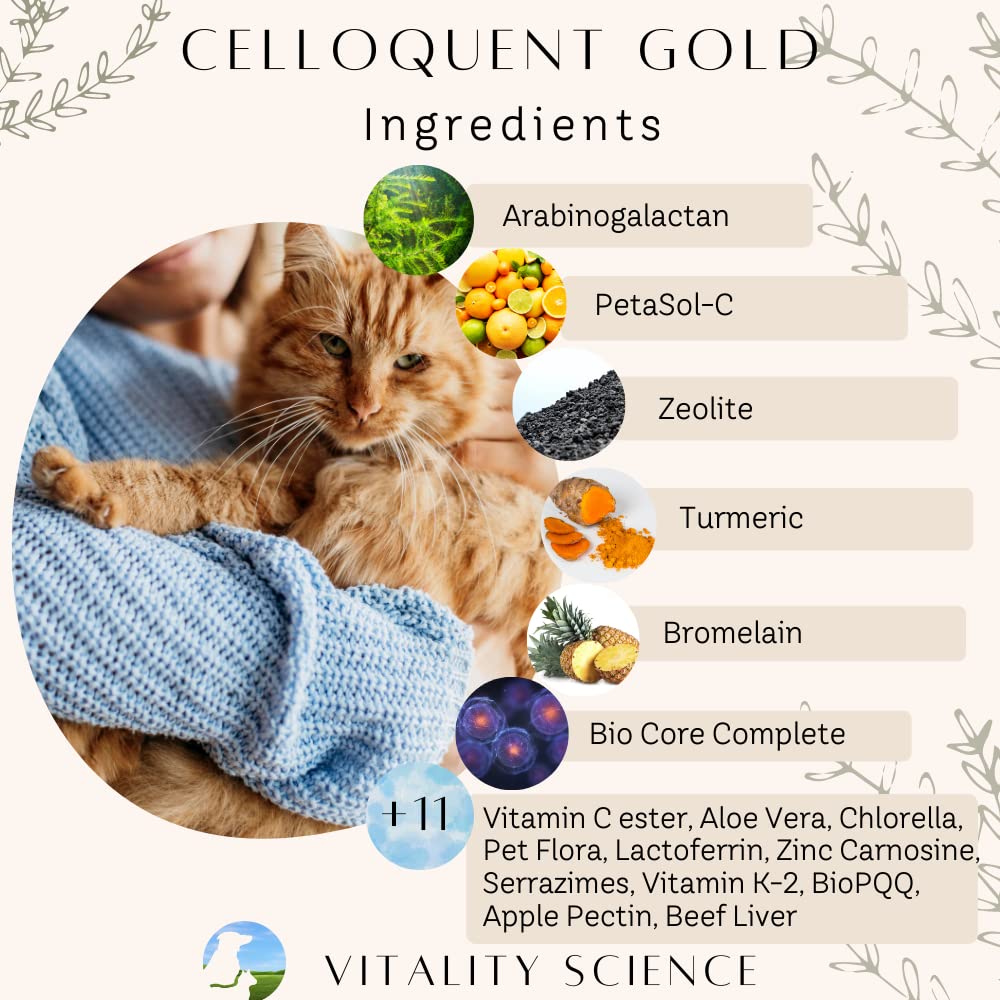 vitality-science-celloquent-gold-for-cat-3.jpg