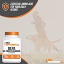 bulksupplements-com-dl-phenylalanine-cap-3.jpg