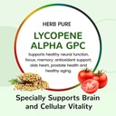 multi-vitamin-complex-daily-multivitamin-6.jpg