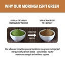 siba-ultra-pure-organic-moringa-extract--5.jpg