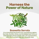 go-nutra-boswellia-serrata-extract-powde-3.jpg