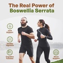 go-nutra-boswellia-serrata-extract-powde-4.jpg