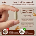 miut-fucoxanthin-brown-seaweed-extract-s-3.jpg