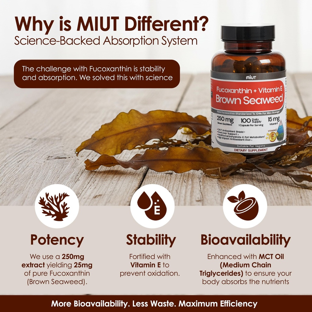 miut-fucoxanthin-brown-seaweed-extract-s-4.jpg