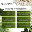 heart-health-cholesterol-supplements-cho-5.jpg
