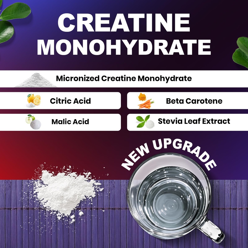 creatine-monohydrate-micronized-powder-5-4.jpg