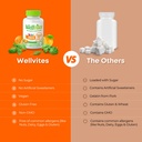 wellvites-sugar-free-kids-immune-daily-g-5.jpg