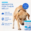 native-pet-allergy-chews-for-dogs-60-air-3.jpg