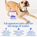 native-pet-ageless-energy-bundle-pack-ad-3.jpg
