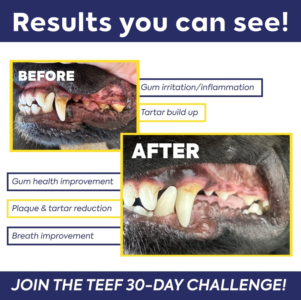 teef-for-life-refill-packets-protektin42-4.jpg