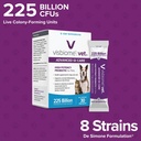 visbiome-vet-advanced-gi-care-high-poten-3.jpg