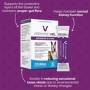 visbiome-vet-advanced-gi-care-high-poten-4.jpg