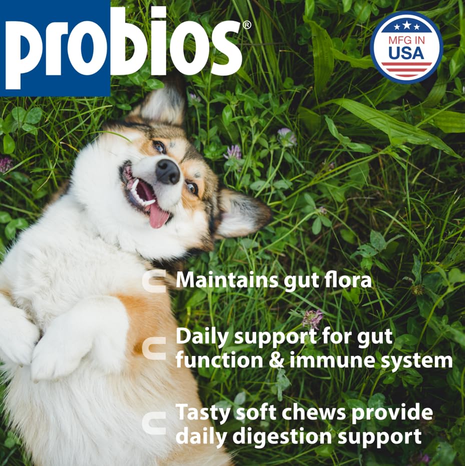 probios-for-dogs-soft-chews-probiotics-f-2.jpg