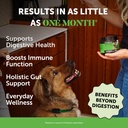 dog-digestive-allergy-support-virtual-bu-2.jpg