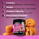 dog-digestive-multivitamin-virtual-bundl-5.jpg