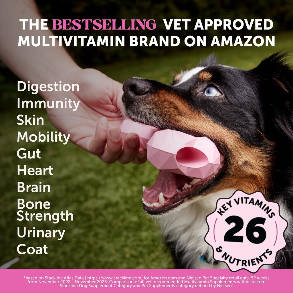 dog-digestive-multivitamin-virtual-bundl-3.jpg