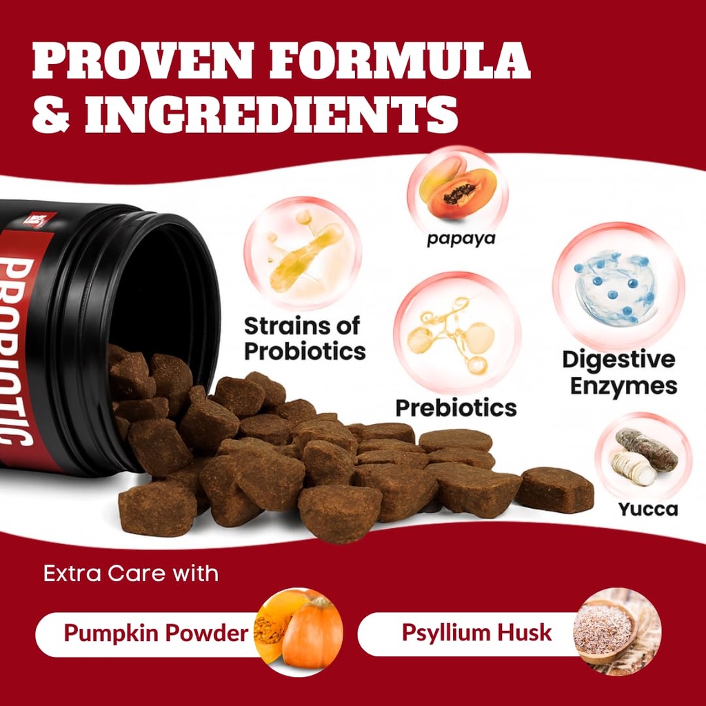probiotics-for-dogs-cats-probiotic-for-s-3.jpg