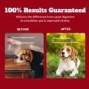 probiotics-for-dogs-cats-probiotic-for-s-4.jpg