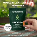 betterbrand-mullein-chewable-gummies-for-3.jpg